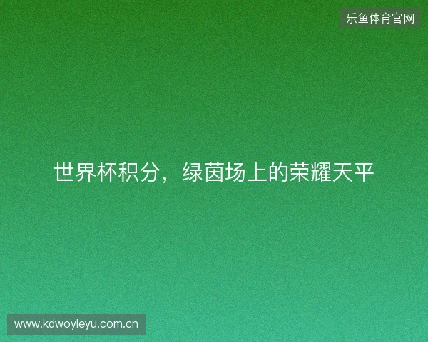 世界杯积分，绿茵场上的荣耀天平